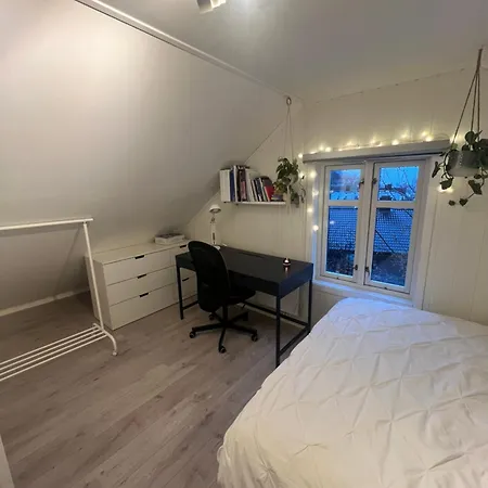Cozy On The Hill * Trondheim