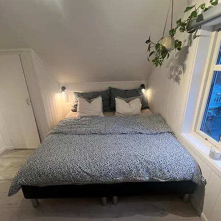 Cozy On The Hill Trondheim