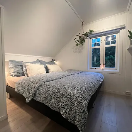 Cozy On The Hill * Trondheim