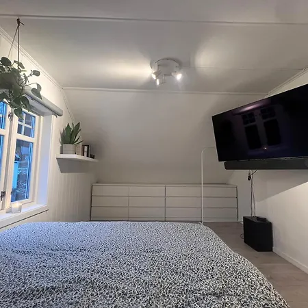 Cozy On The Hill Apartment