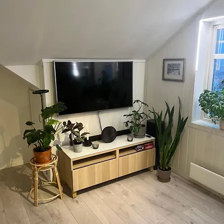 Cozy On The Hill Apartament